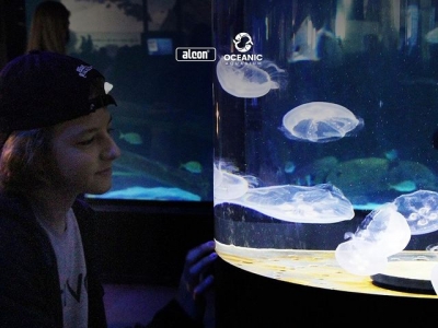 03: Campanha PublicitÃ¡ria Aquario de BalneÃ¡rio CaboriÃº - SC